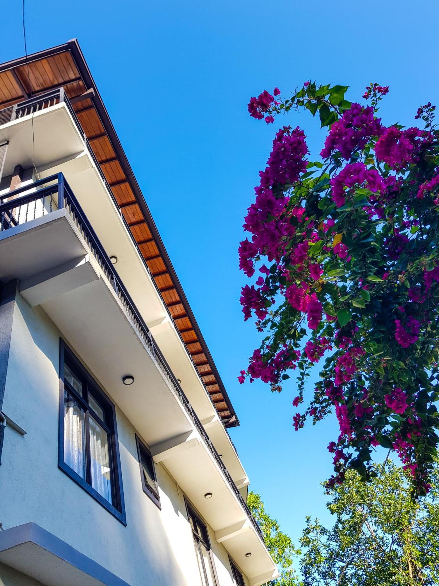 Lush Breeze Hotel Kandy Eksteriør billede